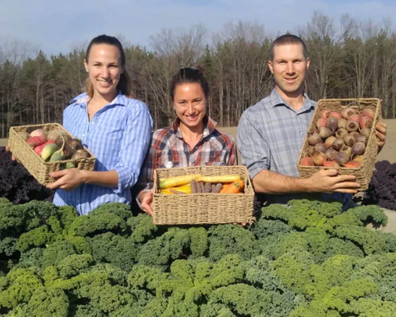 Why Choose Cookstown Greens Premium Organic Produce