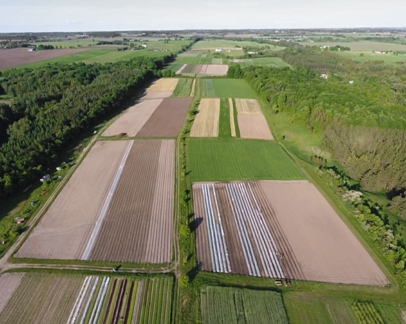 Our Farm at Cookstown Greens