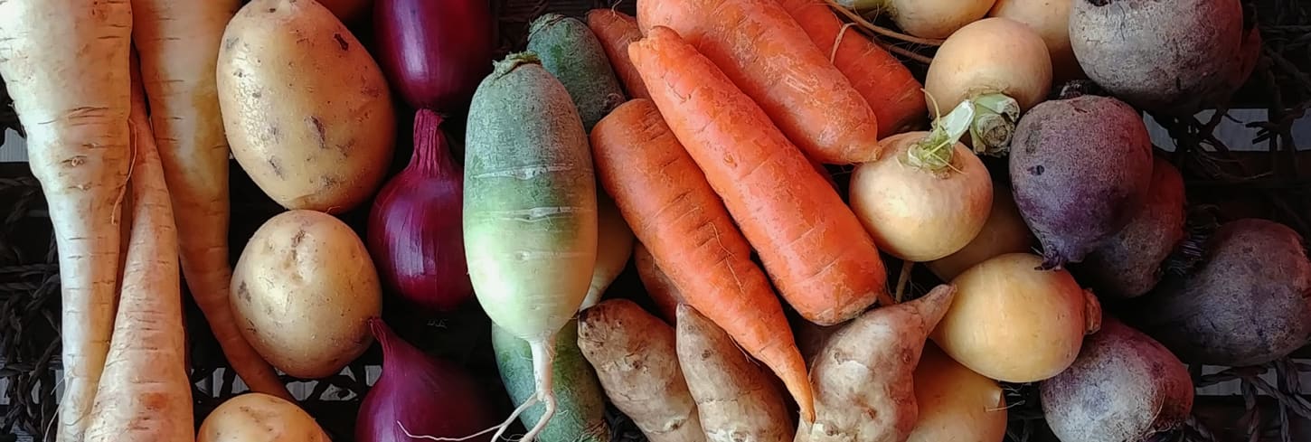 Organic Roots | Cookstown Greens | Organic Produce | GTA