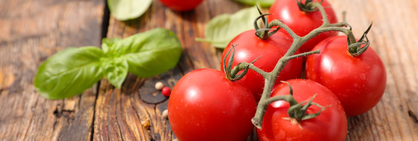 Organic Seasonal Vegetables | Cookstown Greens | Organic Produce | GTA
