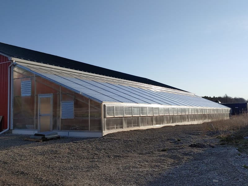 Cookstown Greens Lettuce Greenhouse