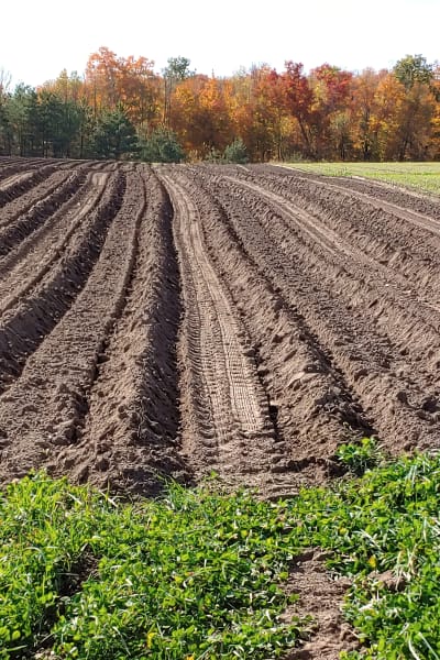 Why small-scale organic farmers prefer heavier, loam soils.